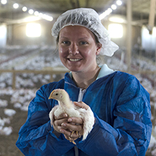Poultry